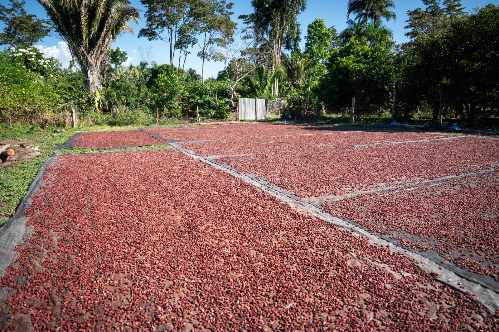 Premium dark chocolate bars made from Peruvian cocoa